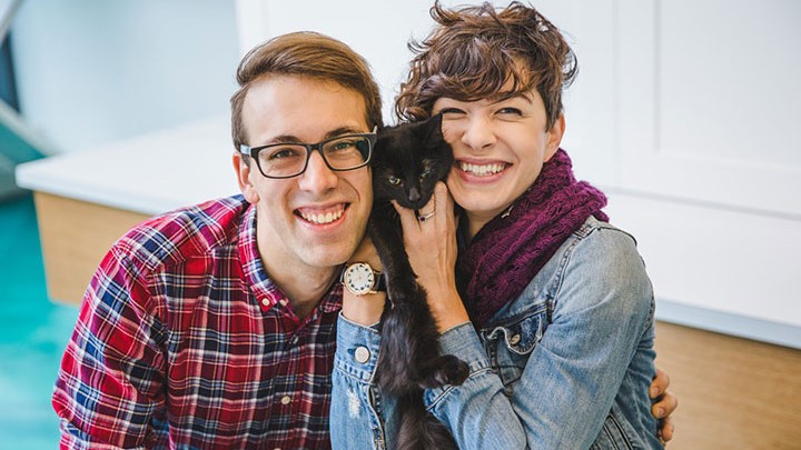 Sweet Engagement Session At A Cat Cafe Desktop Image